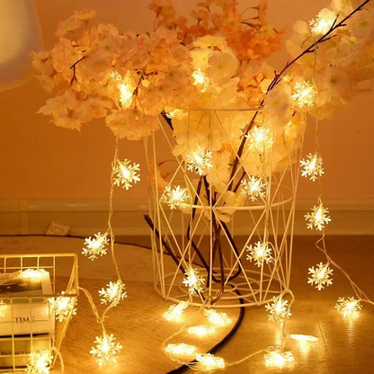 Outdoor String Lights